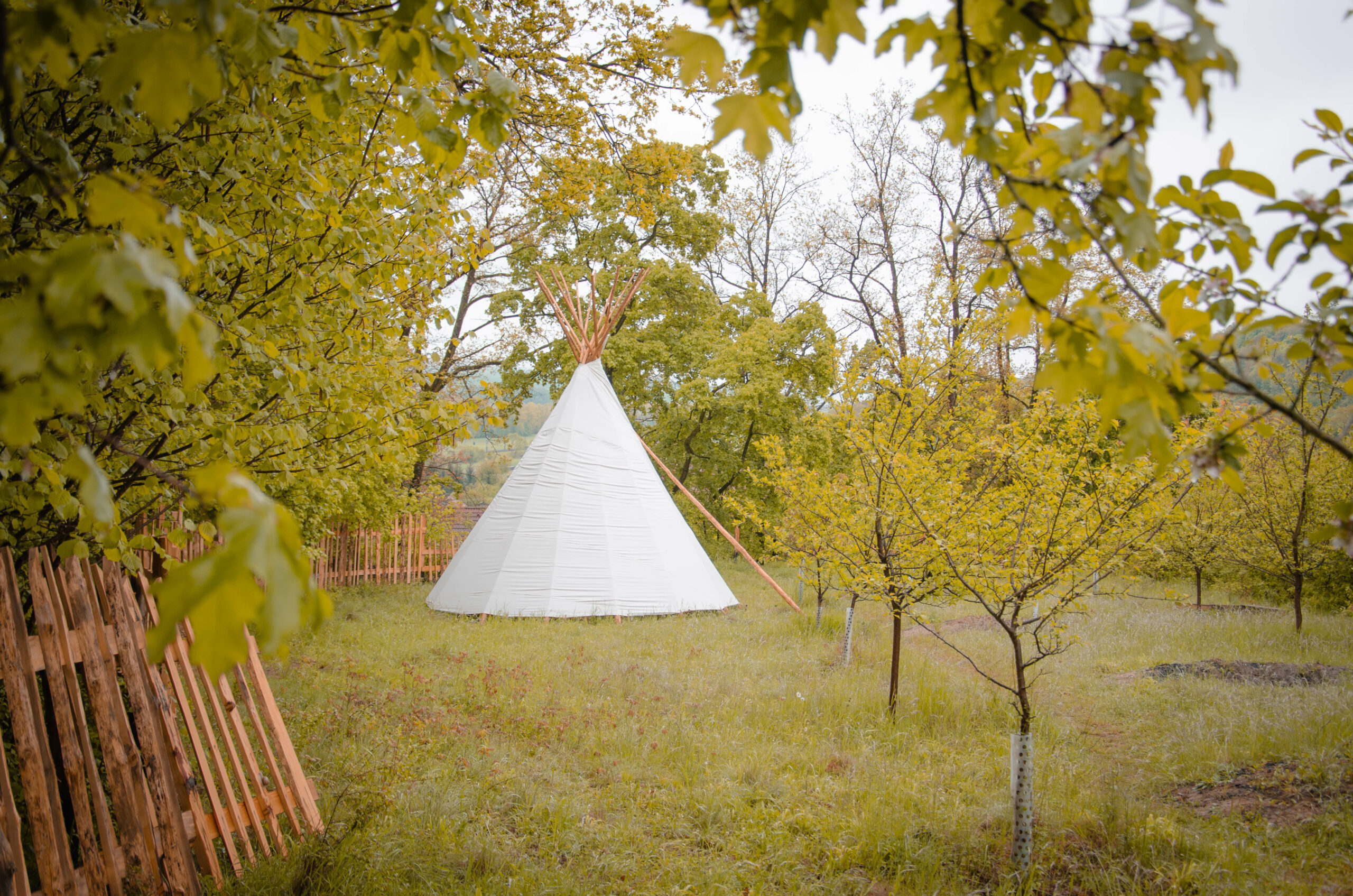 Zahrada lesního klubu Doubek